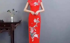 午夜dj小说免费阅读